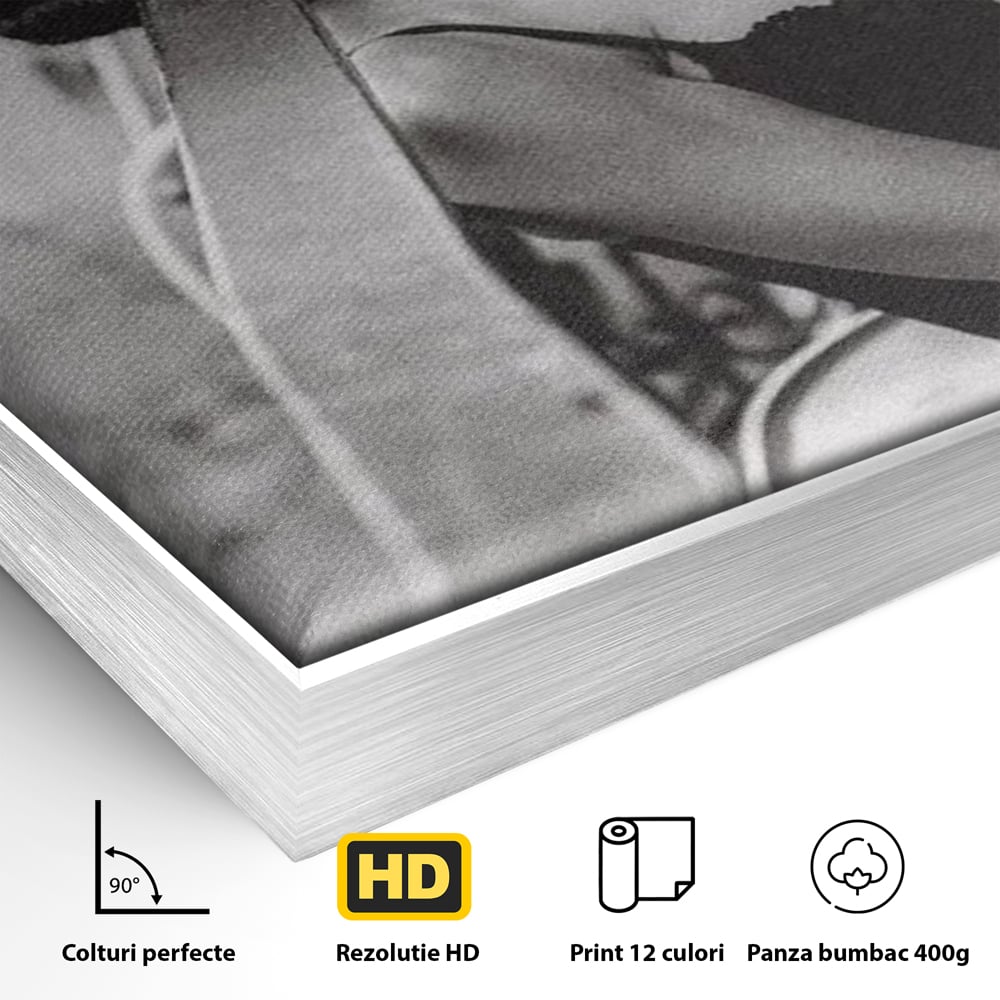 Detaliu al suprafetei: tablou canvas cu femeie fumand pe balcon, in rama de aluminiu argintiu