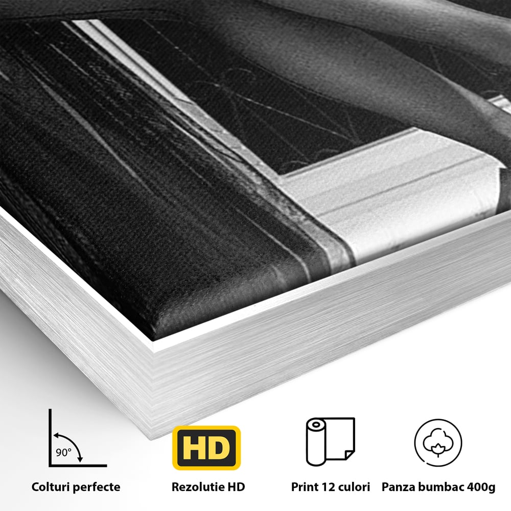 Detaliu al suprafetei: tablou canvas cu silueta feminina si pantofi cu toc, in rama de aluminiu argintiu