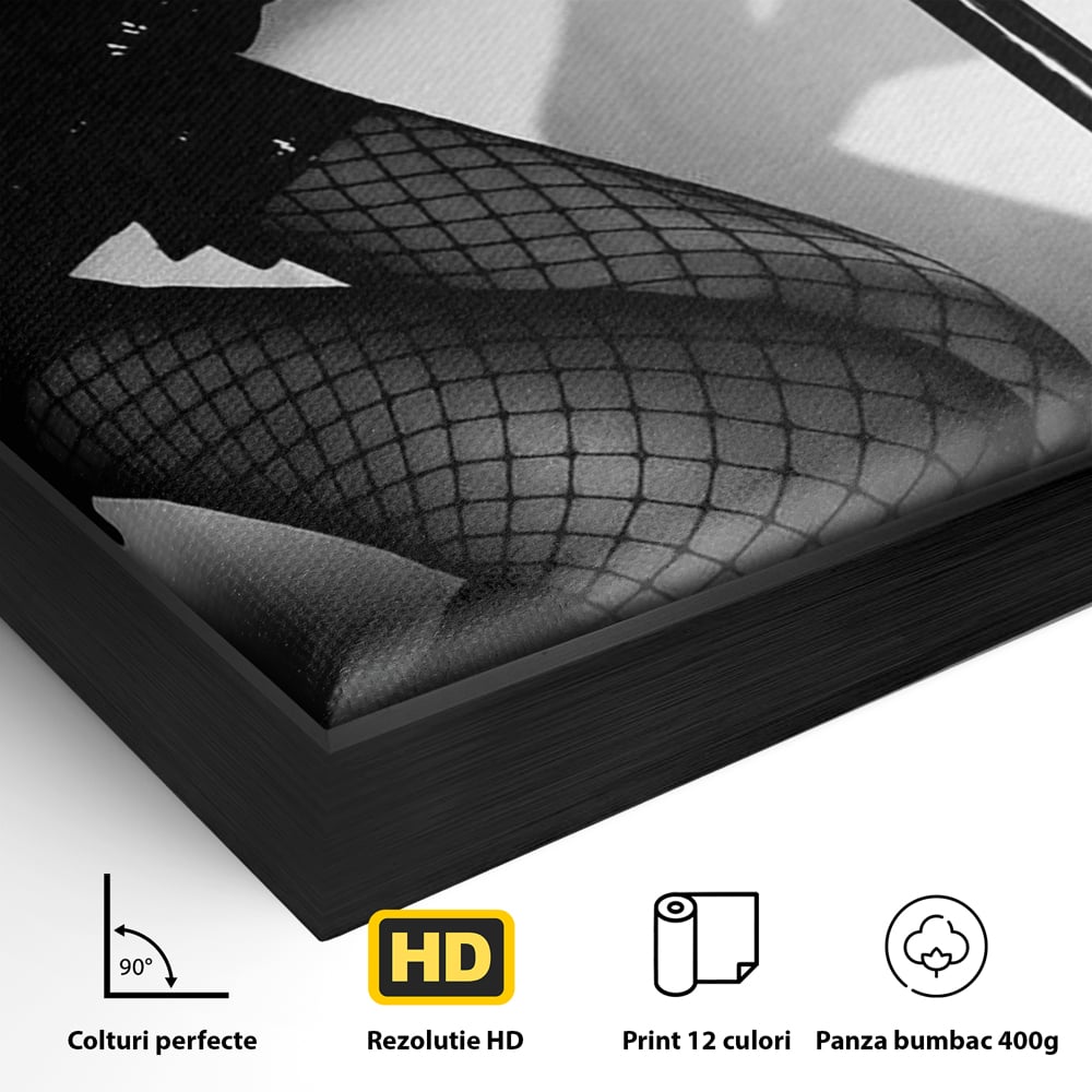 Detaliu al suprafetei: tablou canvas cu picioare si dres in plasa, in rama de aluminiu negru