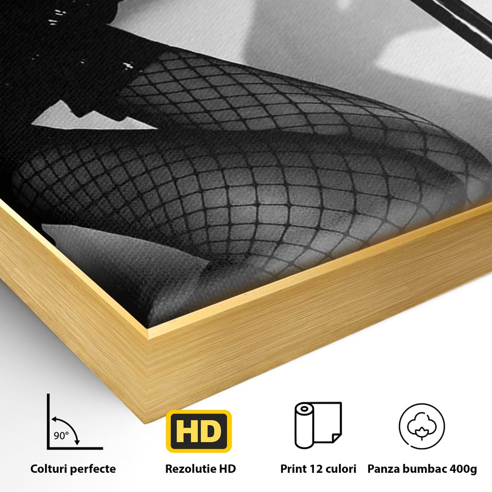 Detaliu al suprafetei: tablou canvas cu picioare si dres in plasa, in rama de aluminiu auriu
