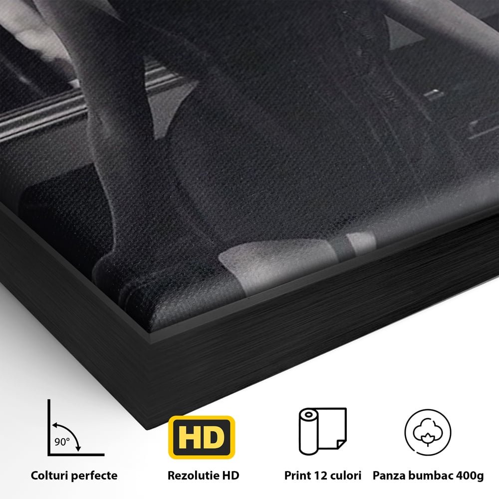 Detaliu al suprafetei: tablou canvas cu silueta feminina, in rama de aluminiu negru