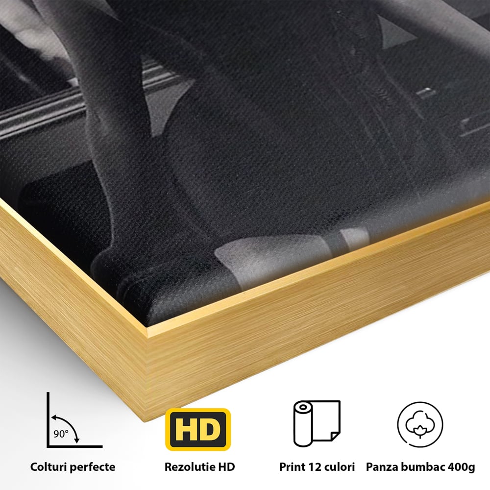 Detaliu al suprafetei: tablou canvas cu silueta feminina, in rama de aluminiu auriu