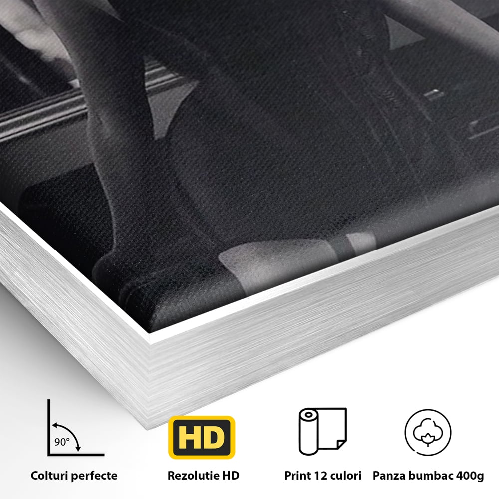 Detaliu al suprafetei: tablou canvas cu silueta feminina, in rama de aluminiu argintiu