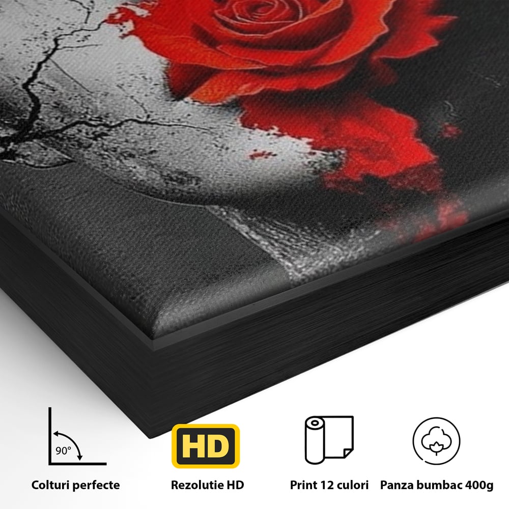 Detaliu al suprafetei: tablou canvas cu chip de femeie, in rama de aluminiu negru