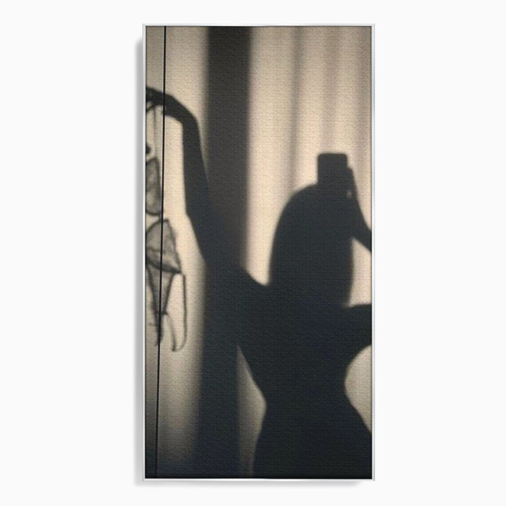 Tablou canvas cu tablou canvas cu silueta si umbra, in rama de aluminiu argintiu