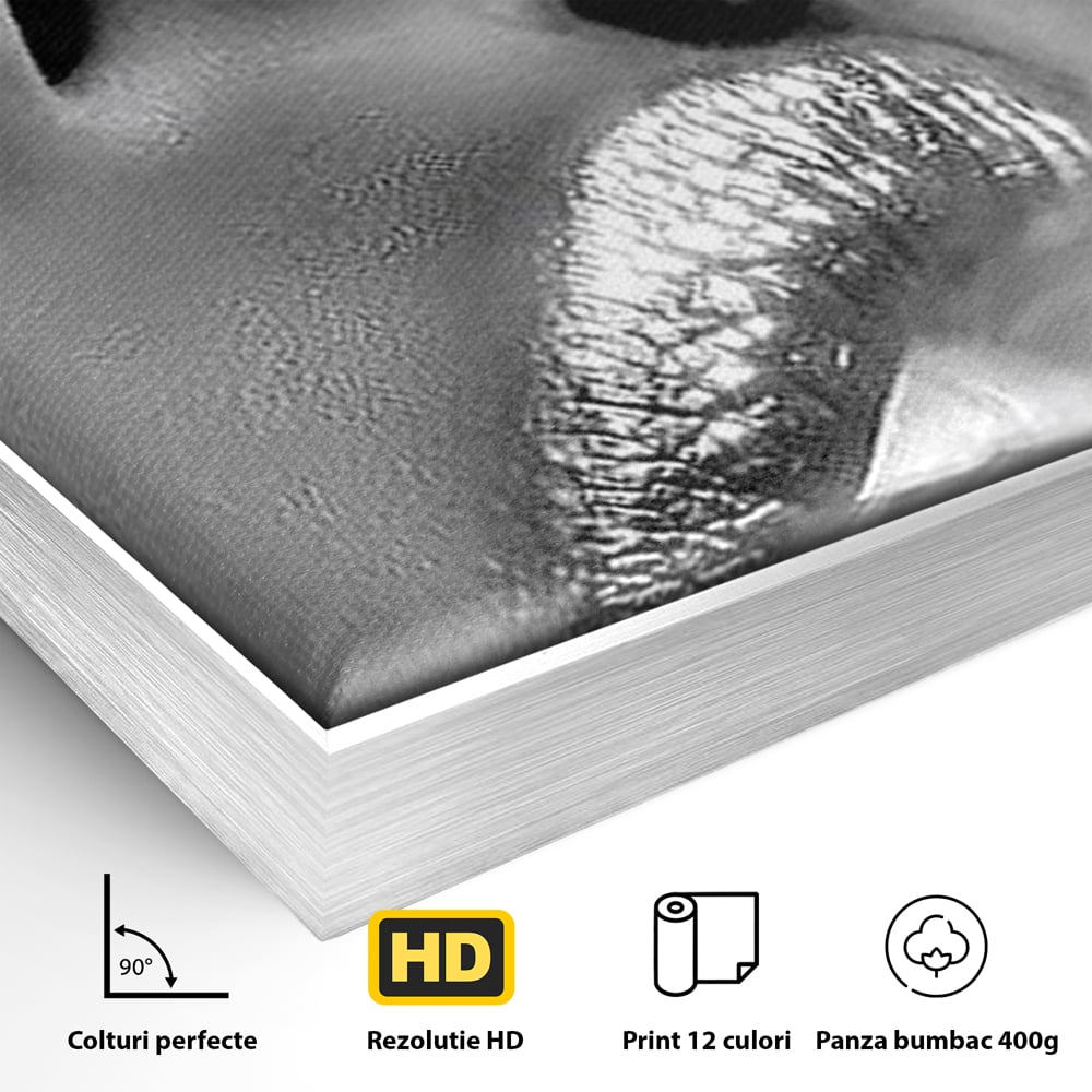 Detaliu al suprafetei: tablou canvas cu buze si fum, in rama de aluminiu argintiu