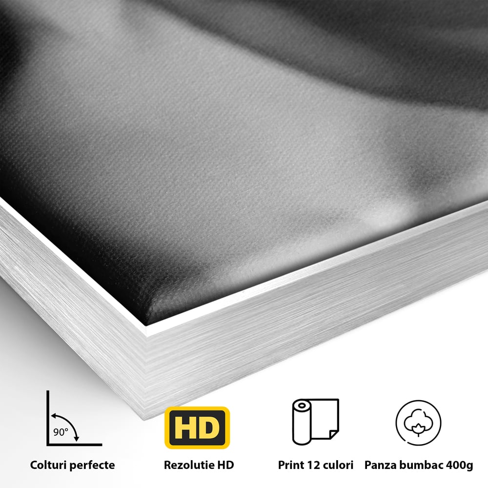 Detaliu al suprafetei: tablou canvas cu buze senzuale, in rama de aluminiu argintiu