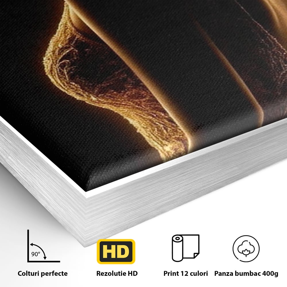 Detaliu al suprafetei: tablou canvas cu silueta feminina, in rama de aluminiu argintiu