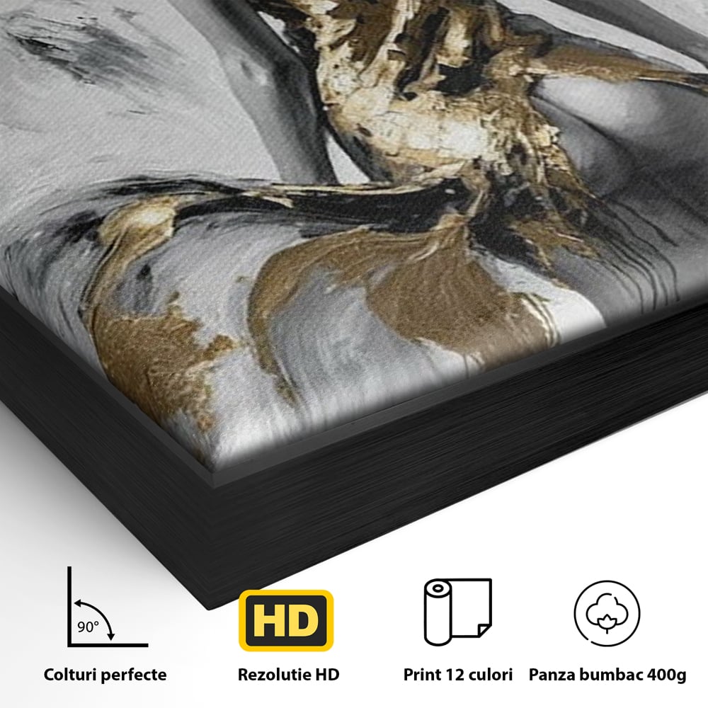 Detaliu al suprafetei: tablou canvas cu silueta de femeie, in rama de aluminiu negru