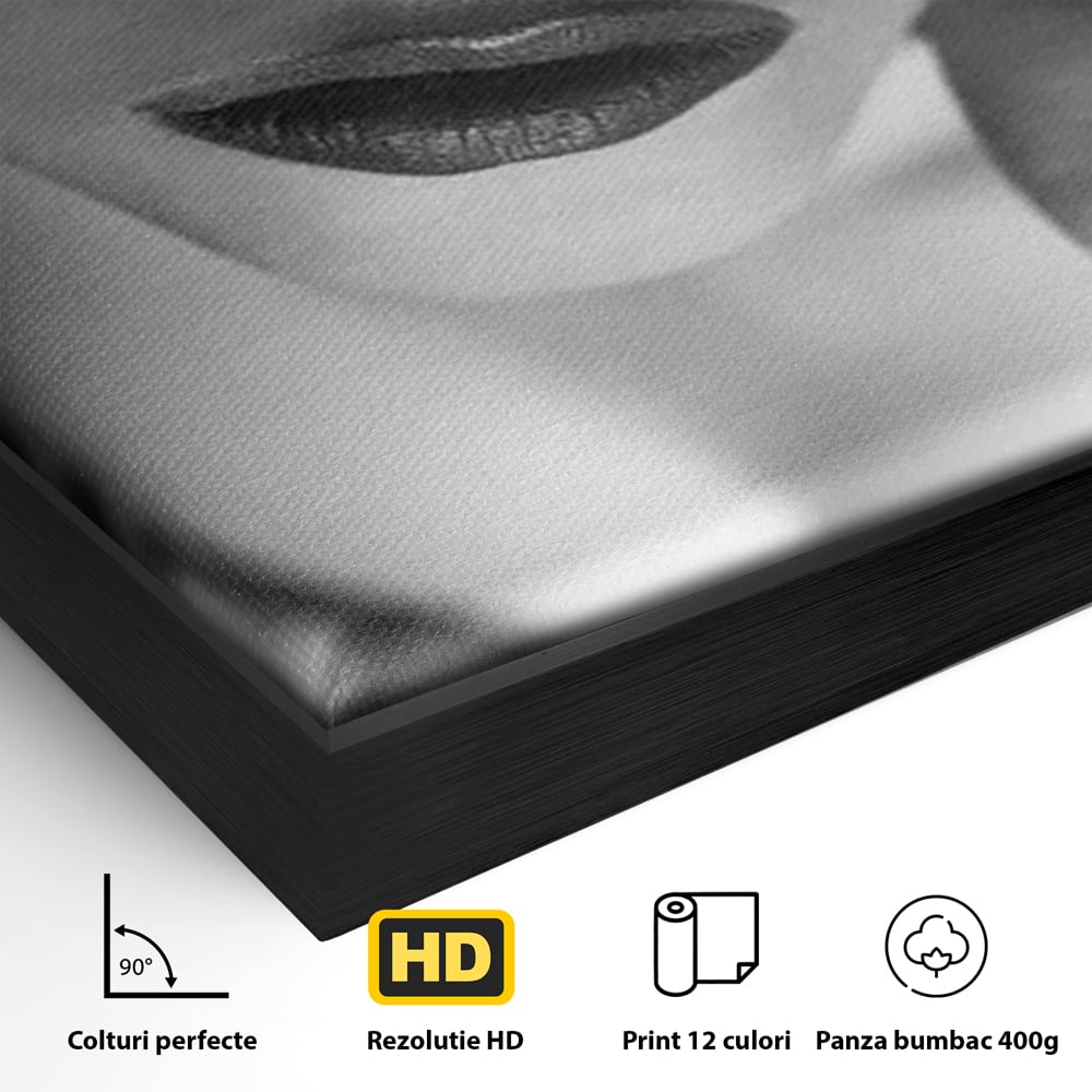 Detaliu al suprafetei: tablou canvas cu femeie purtand masca, in rama de aluminiu negru
