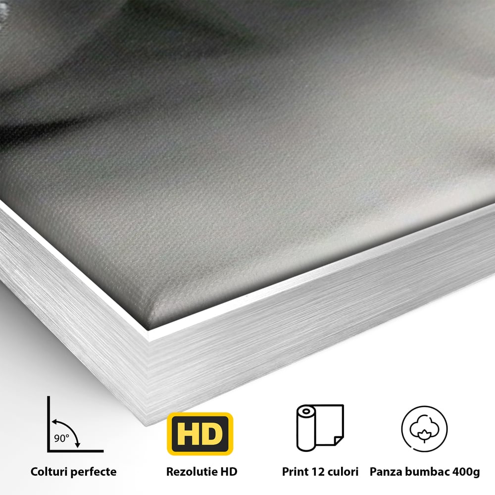Detaliu al suprafetei: tablou canvas cu masca si mar, in rama de aluminiu argintiu