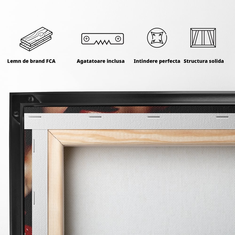 Spatele produsului, cu sasiu din lemn, capse metalice si agatatoare