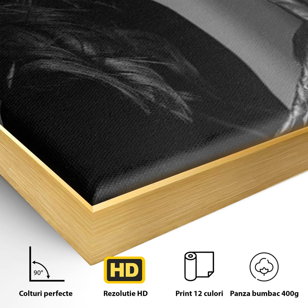 Detaliu al suprafetei: tablou canvas cu femeie in palarie si manusi negre, in rama de aluminiu auriu