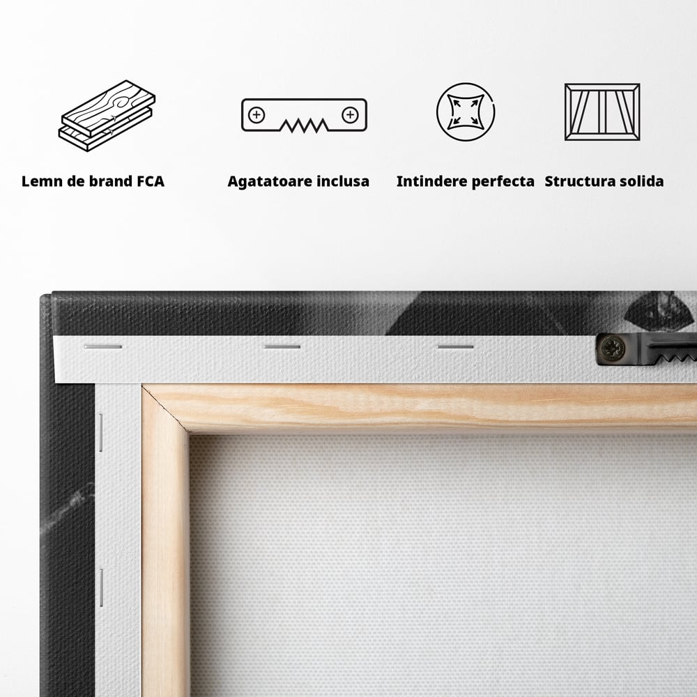Spatele produsului, cu sasiu din lemn, capse metalice si agatatoare