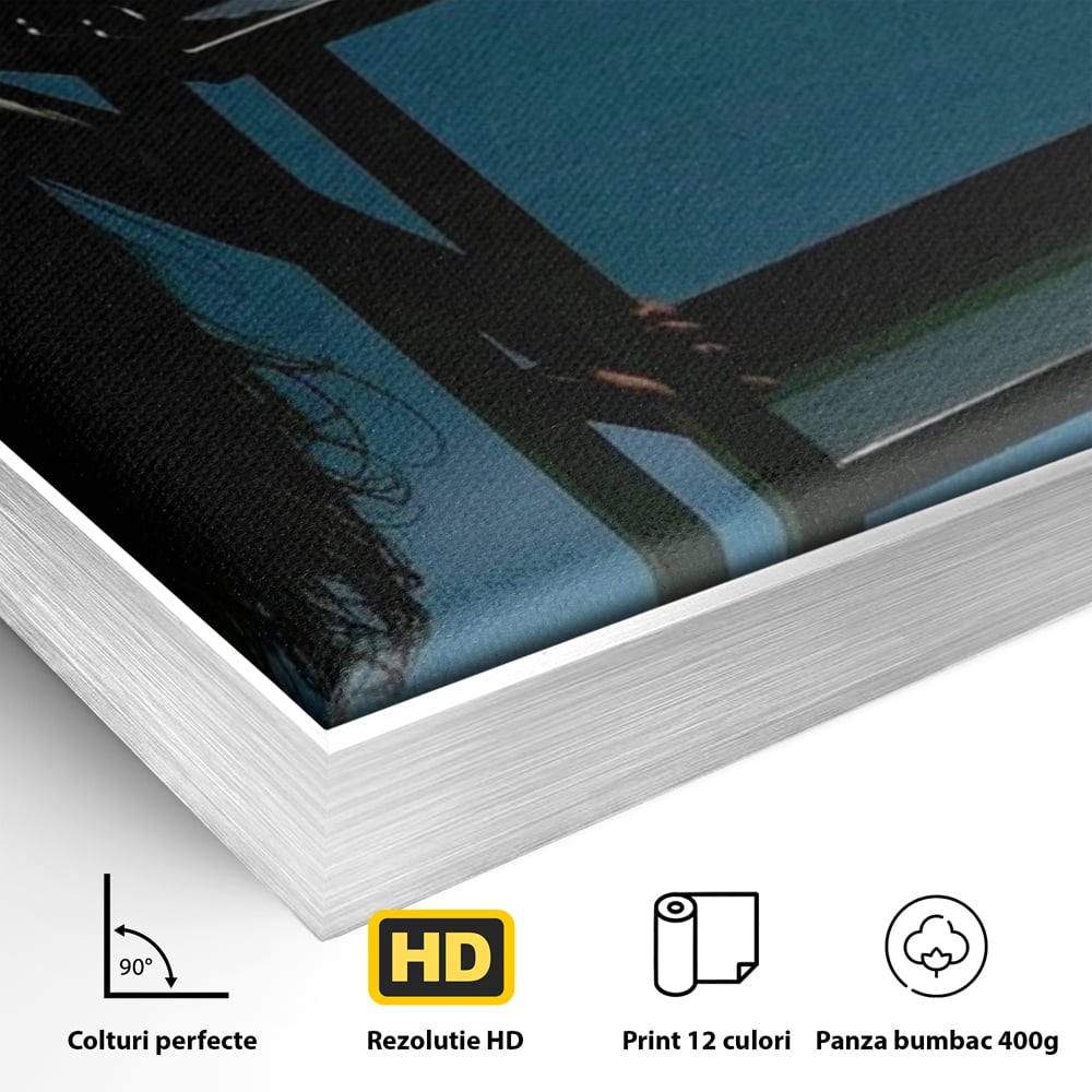 Detaliu al suprafetei: tablou canvas cu silueta curbata pe masa, in rama de aluminiu argintiu