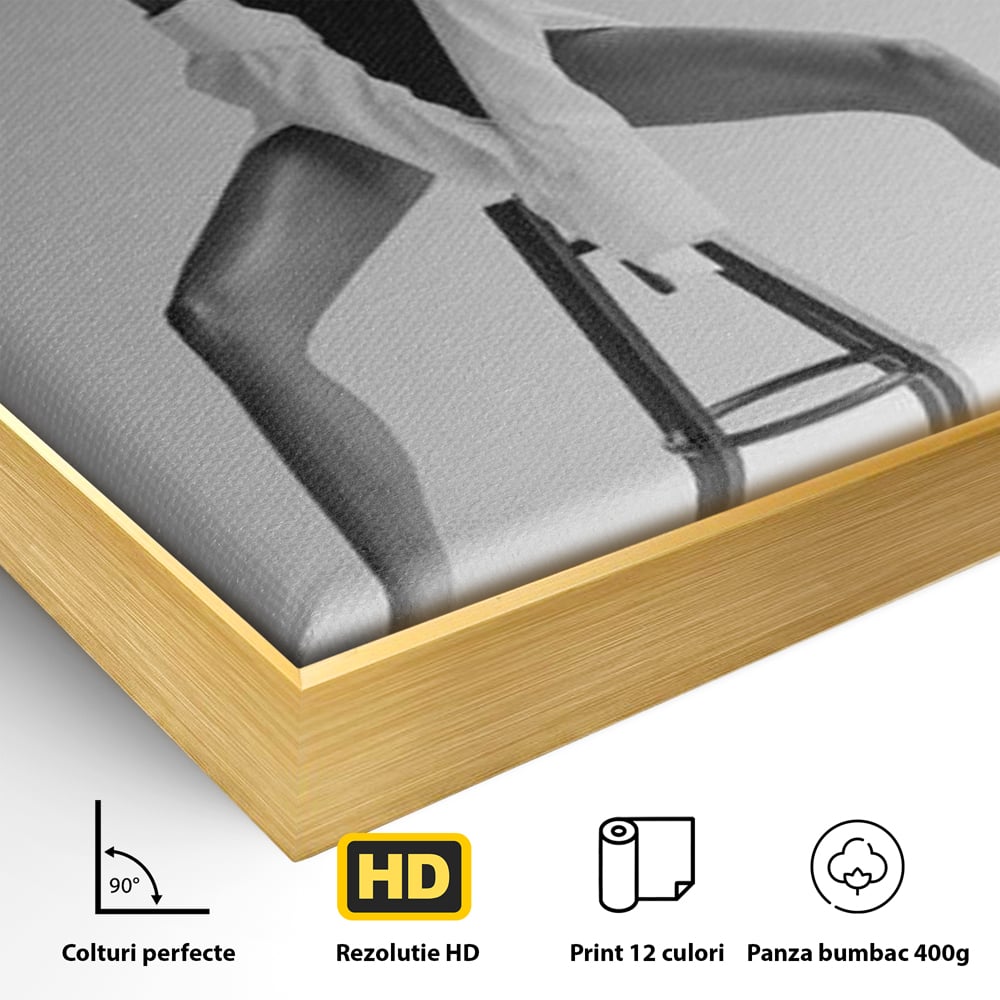 Detaliu al suprafetei: tablou canvas cu femeie pe scaun, in rama de aluminiu auriu