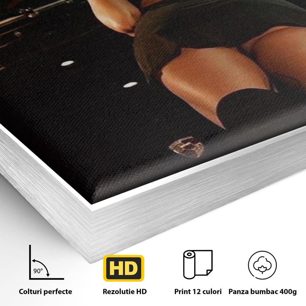 Detaliu al suprafetei: tablou canvas cu femeie pe masina, in rama de aluminiu argintiu