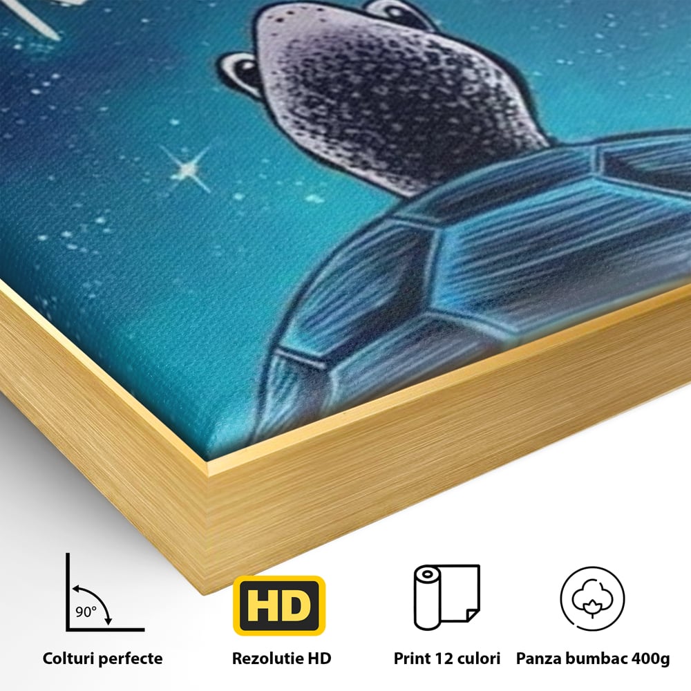 Detaliu al suprafetei: ilustratie cu testoasa sub cer instelat, in rama de aluminiu auriu