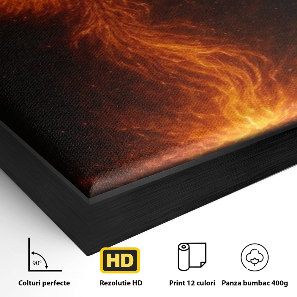 Detaliu al suprafetei: ilustratie digitala cu pasarea phoenix din flacari, in rama de aluminiu negru