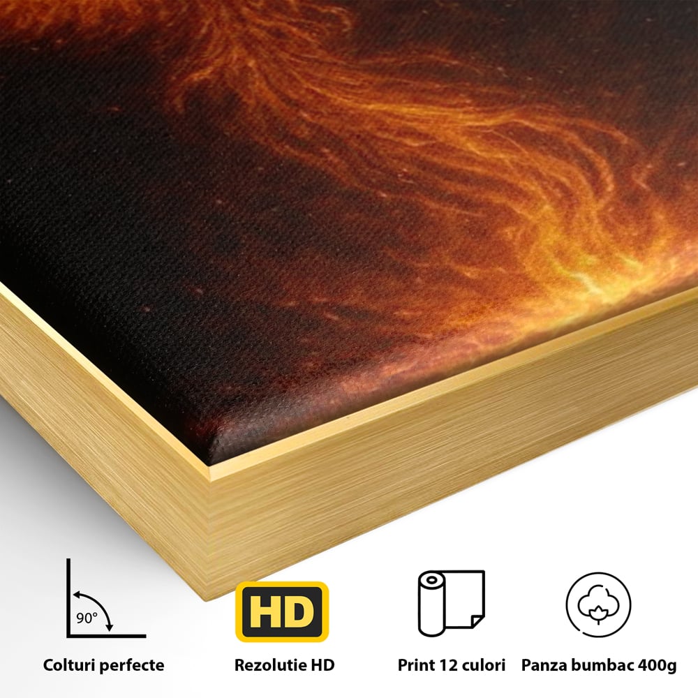 Detaliu al suprafetei: ilustratie digitala cu pasarea phoenix din flacari, in rama de aluminiu auriu