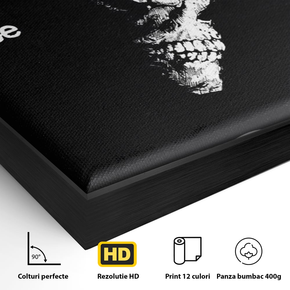 Detaliu al suprafetei: tablou canvas cu craniu si semnul intrebarii, in rama de aluminiu negru
