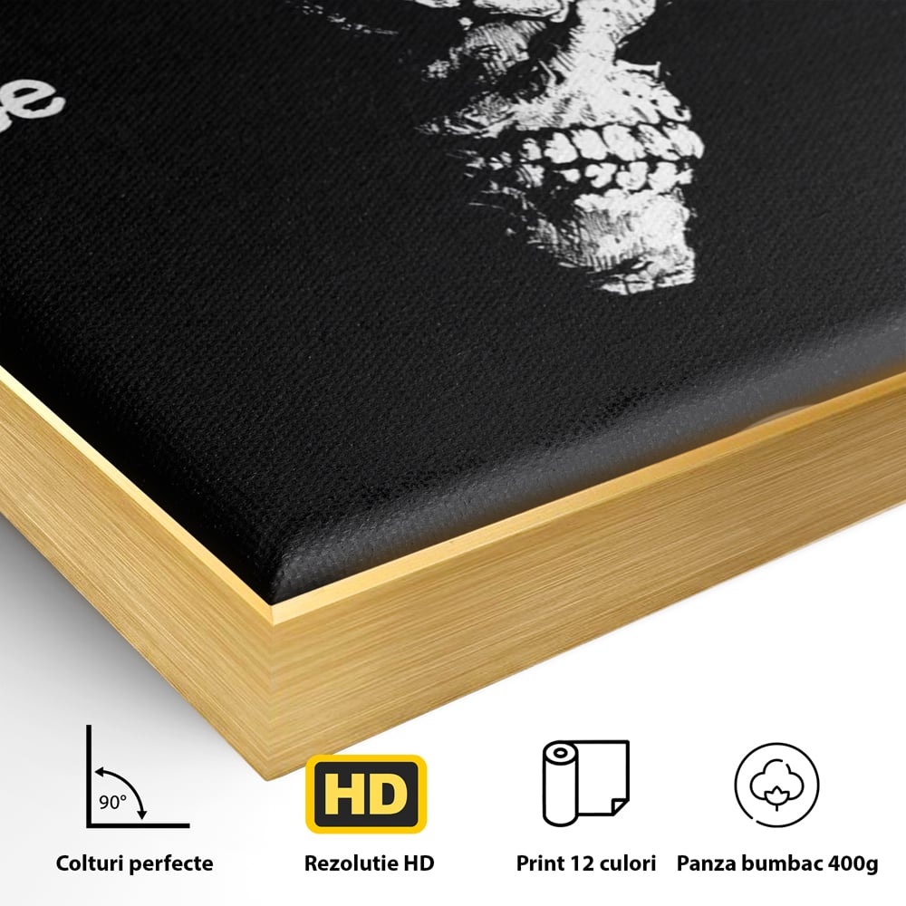 Detaliu al suprafetei: tablou canvas cu craniu si semnul intrebarii, in rama de aluminiu auriu