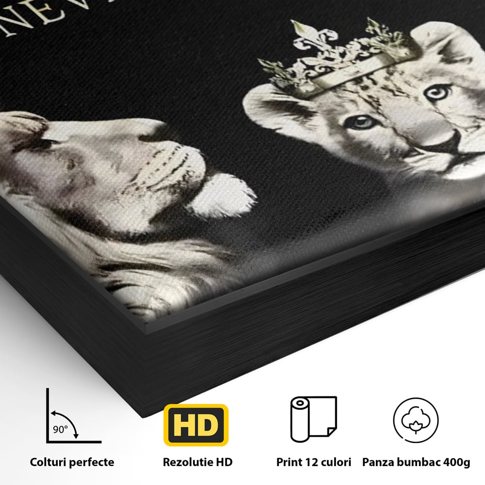 Detaliu al suprafetei: tablou canvas cu lei rege, regina si pui, in rama de aluminiu negru