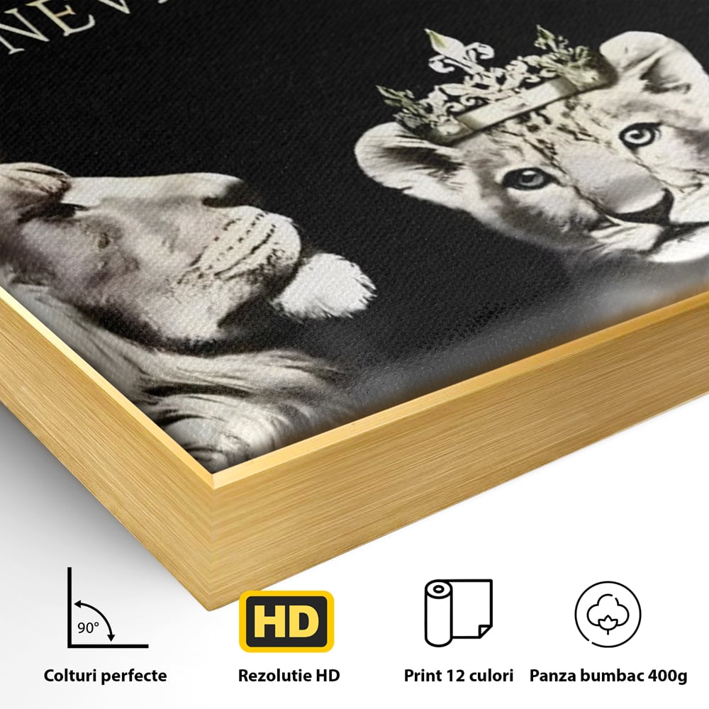 Detaliu al suprafetei: tablou canvas cu lei rege, regina si pui, in rama de aluminiu auriu