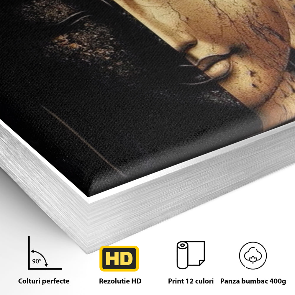 Detaliu al suprafetei: tablou canvas cu chipul lui buddha in doua culori, in rama de aluminiu argintiu
