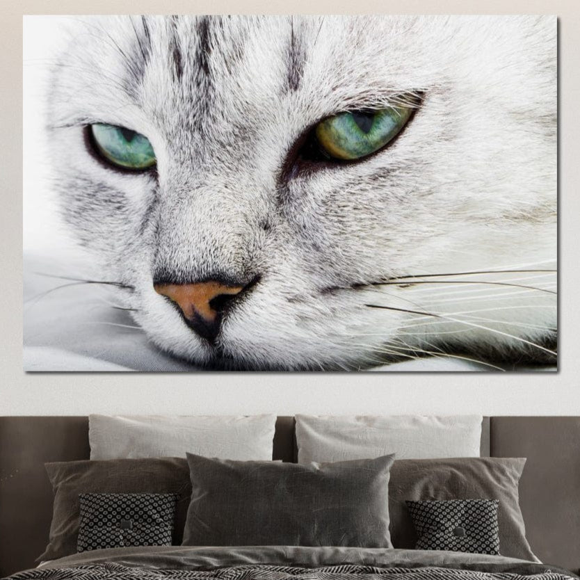 tablou canvas cu un chip de pisica cu blana alba si ochi verzi, pe fundal deschis