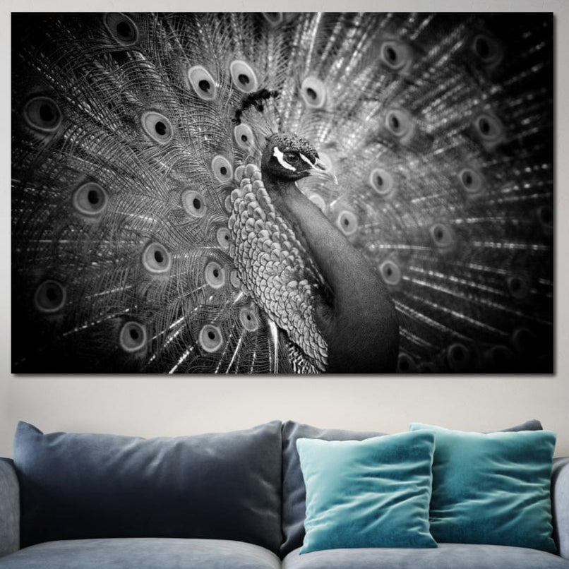 tablou canvas cu un paun cu penajul expus in nuante de alb si negru, pe fundal intunecat