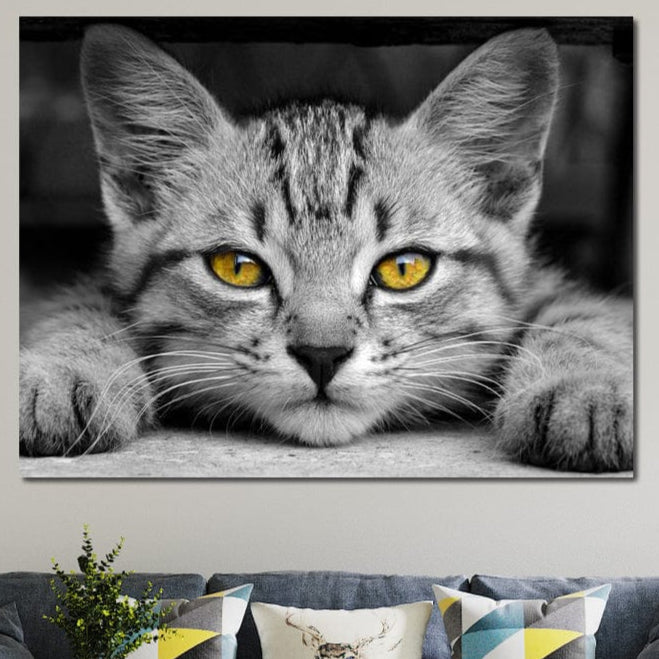 tablou canvas cu o pisica mica cu ochi galbeni si privire inocenta, pe fundal alb negru