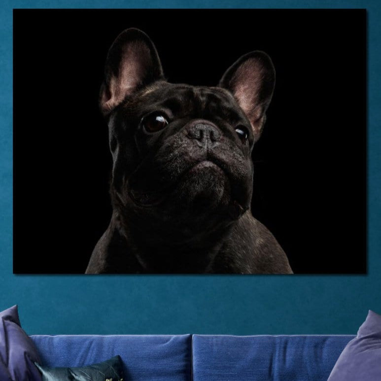 tablou canvas cu un bulldog francez negru cu o privire expresiva, redat realist pe fundal inchis
