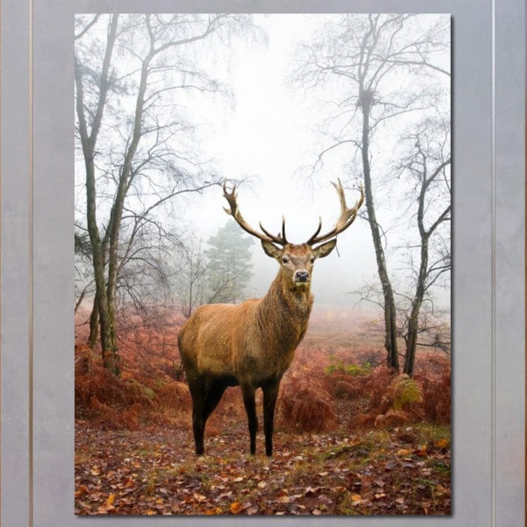 tablou canvas cu un cerb intr-o padure cu copaci si vegetatie aramie, in peisaj de toamna