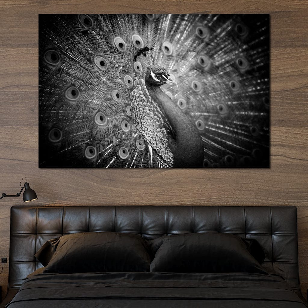 tablou canvas cu un paun cu penajul expus in nuante de alb si negru, pe fundal intunecat