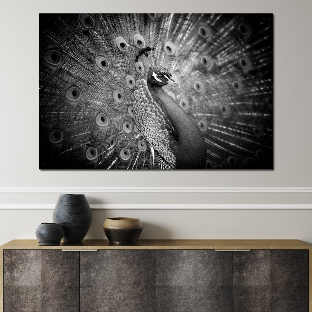 tablou canvas cu un paun cu penajul expus in nuante de alb si negru, pe fundal intunecat