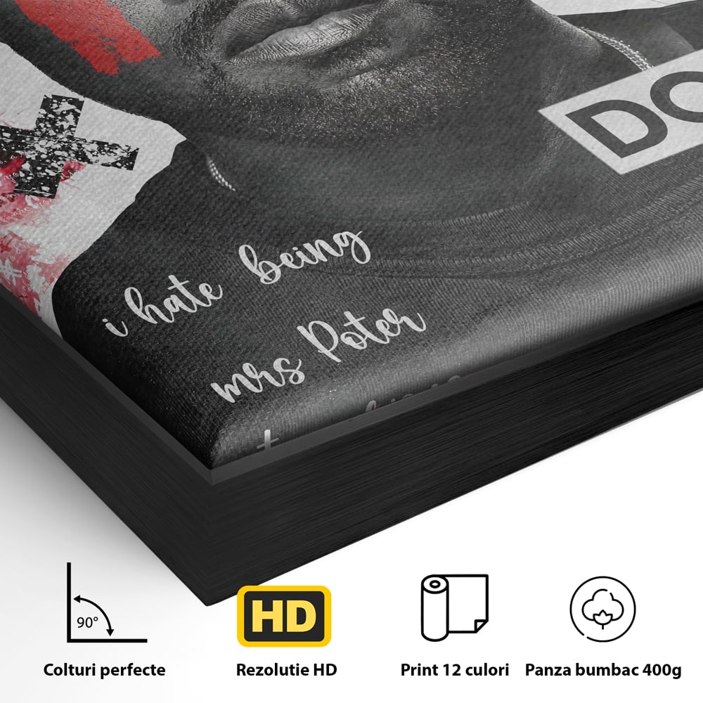 Detaliu al suprafetei: tablou canvas cu portretul stilizat al lui kanye west, in rama de aluminiu negru