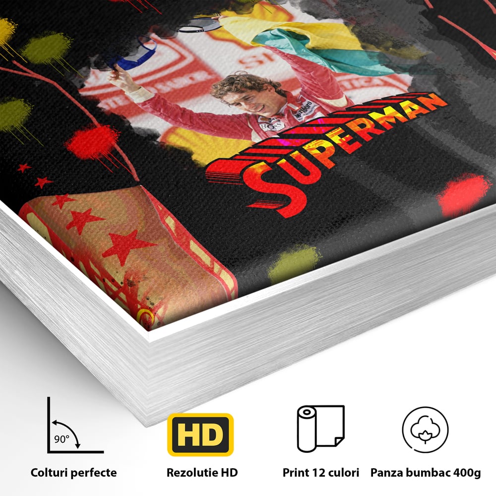 Detaliu al suprafetei: tablou canvas cu ayrton senna, in rama de aluminiu argintiu