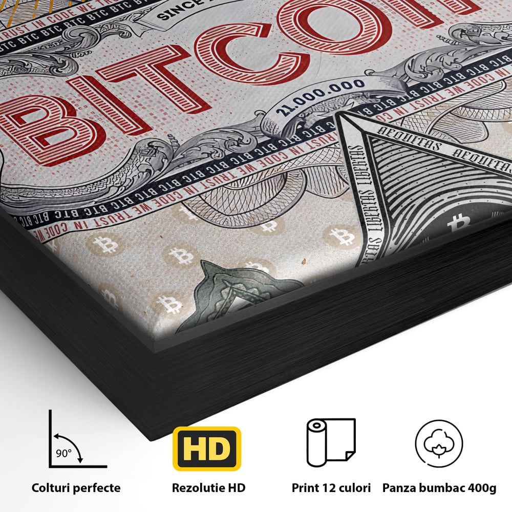 Detaliu al suprafetei: ilustratie digitala cu tema bitcoin si criptomonede, in rama de aluminiu negru