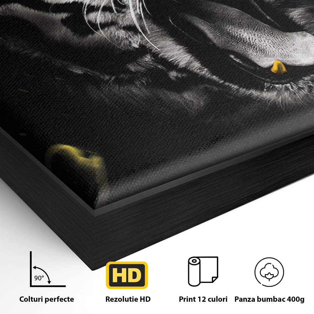 Detaliu al suprafetei: tablou vertical cu tigru si text, in rama de aluminiu negru