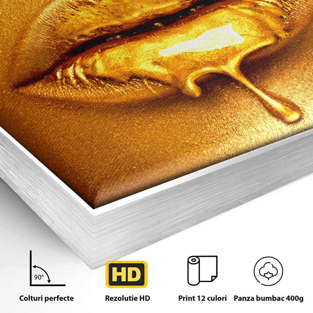 Detaliu al suprafetei: tablou canvas cu buze aurii si luci, in rama de aluminiu argintiu