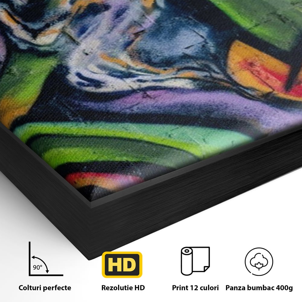 Detaliu al suprafetei: tablou canvas cu graffiti abstract colorat, in rama de aluminiu negru