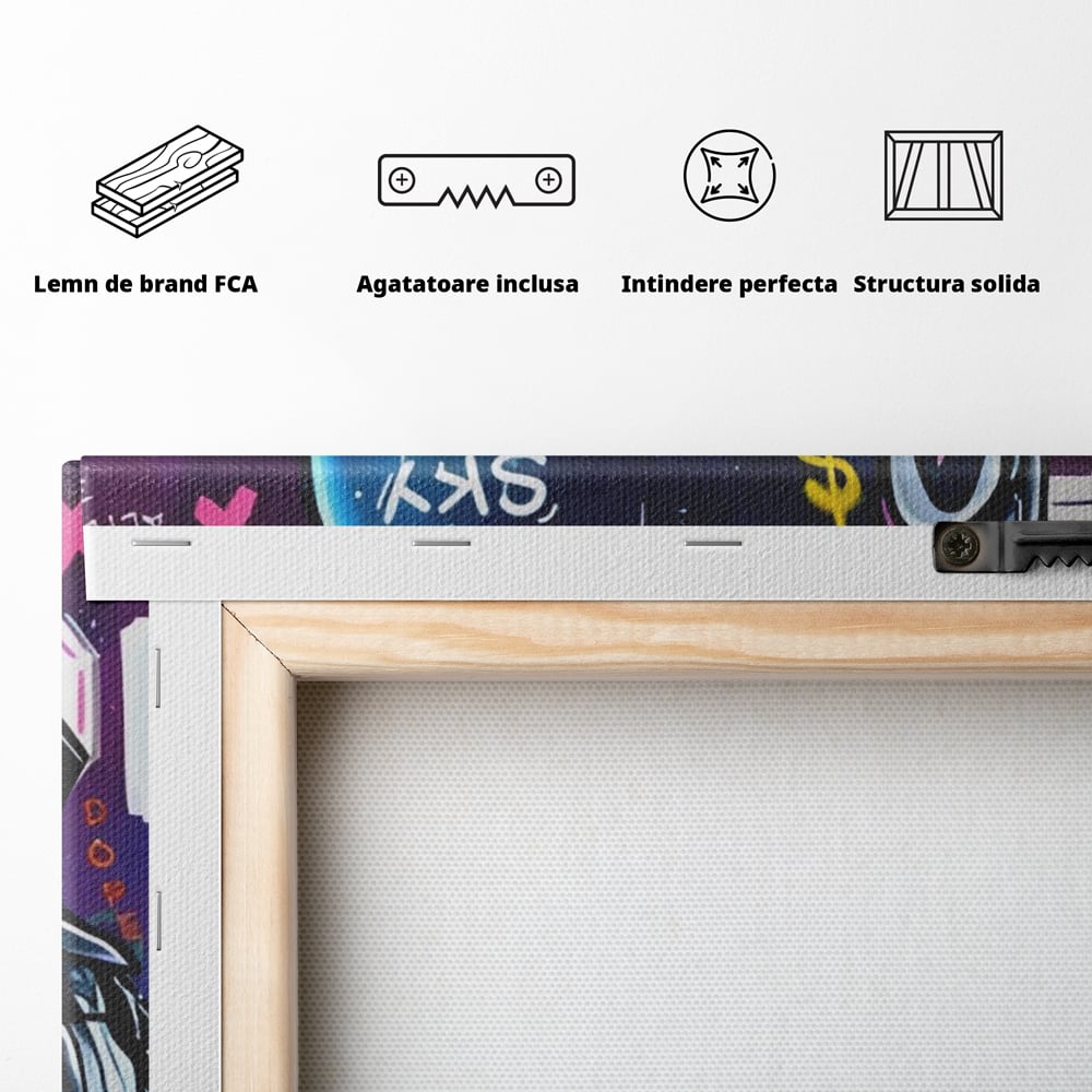 Spatele produsului, cu sasiu din lemn, capse metalice si agatatoare