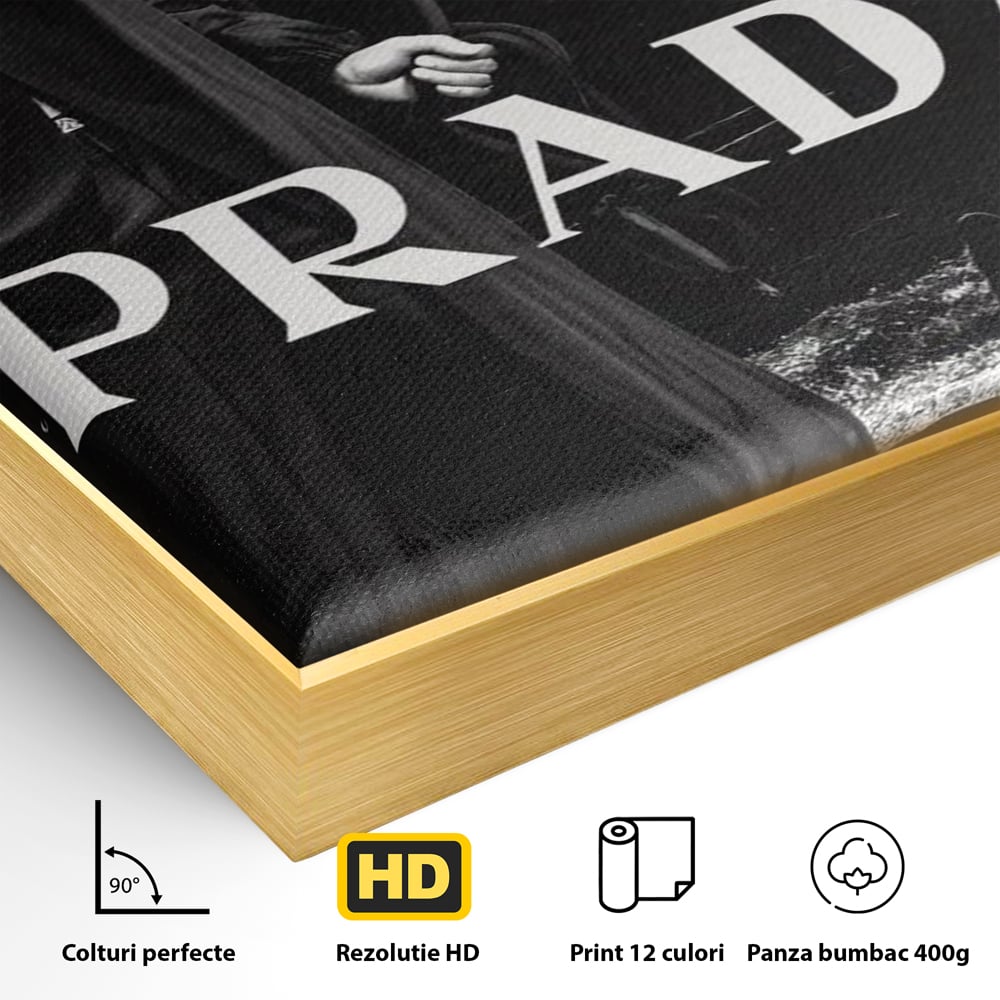 Detaliu al suprafetei: tablou canvas cu manechin cal si caine, in rama de aluminiu auriu