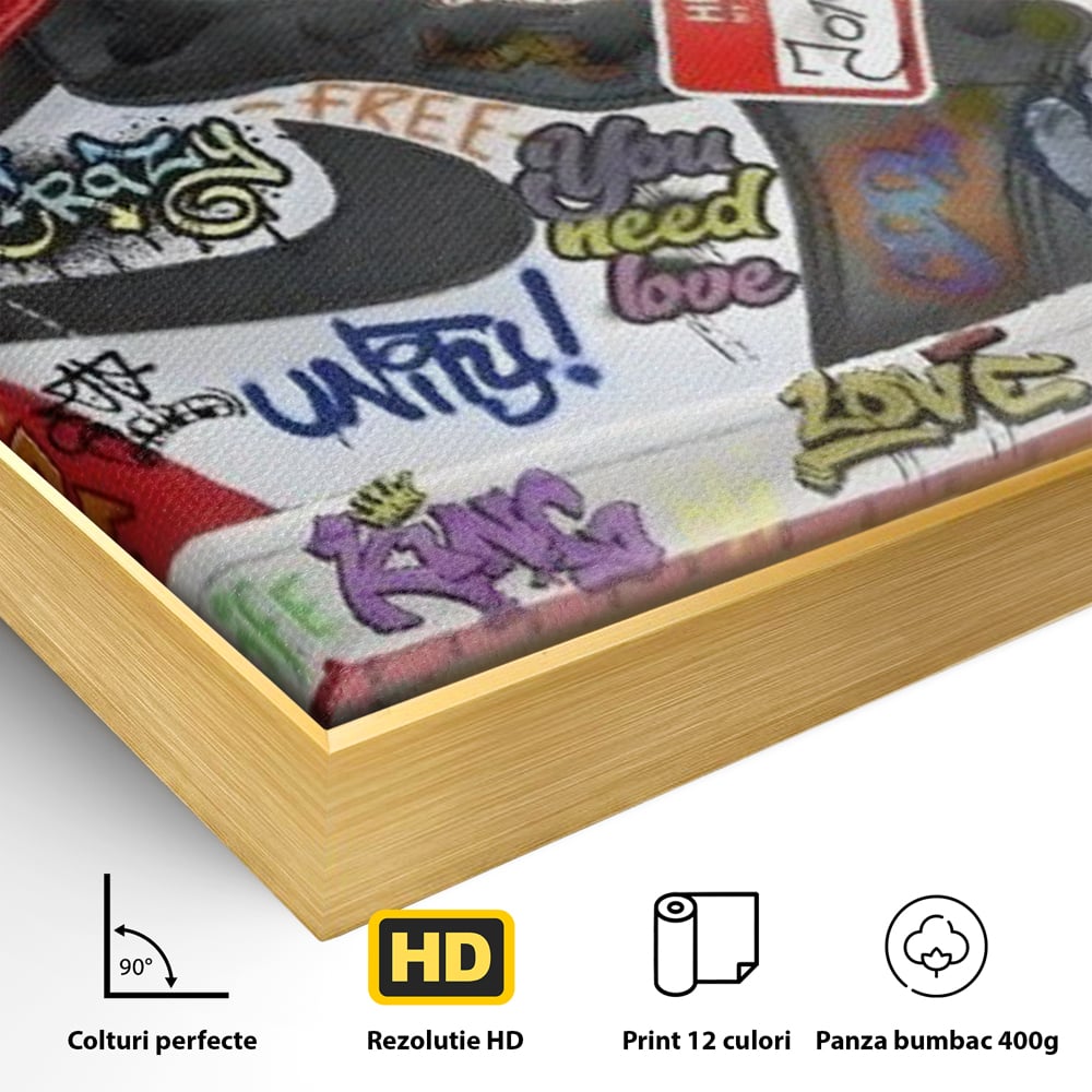 Detaliu al suprafetei: pictura adidasi air jordan cu graffiti, in rama de aluminiu auriu