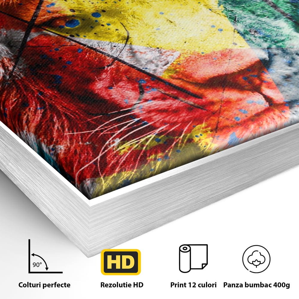 Detaliu al suprafetei: tablou canvas cu leu colorat, in rama de aluminiu argintiu