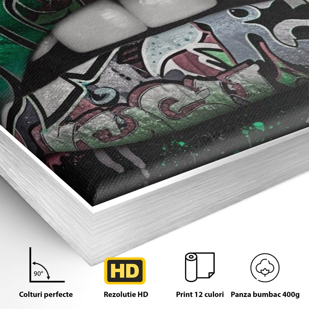 Detaliu al suprafetei: tablou canvas cu buze si graffiti verde, in rama de aluminiu argintiu