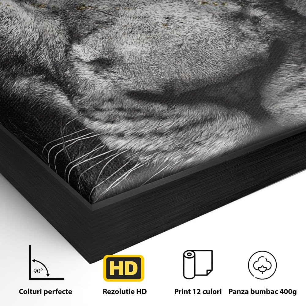 Detaliu al suprafetei: tablou canvas cu leu si ochi albastri, in rama de aluminiu negru