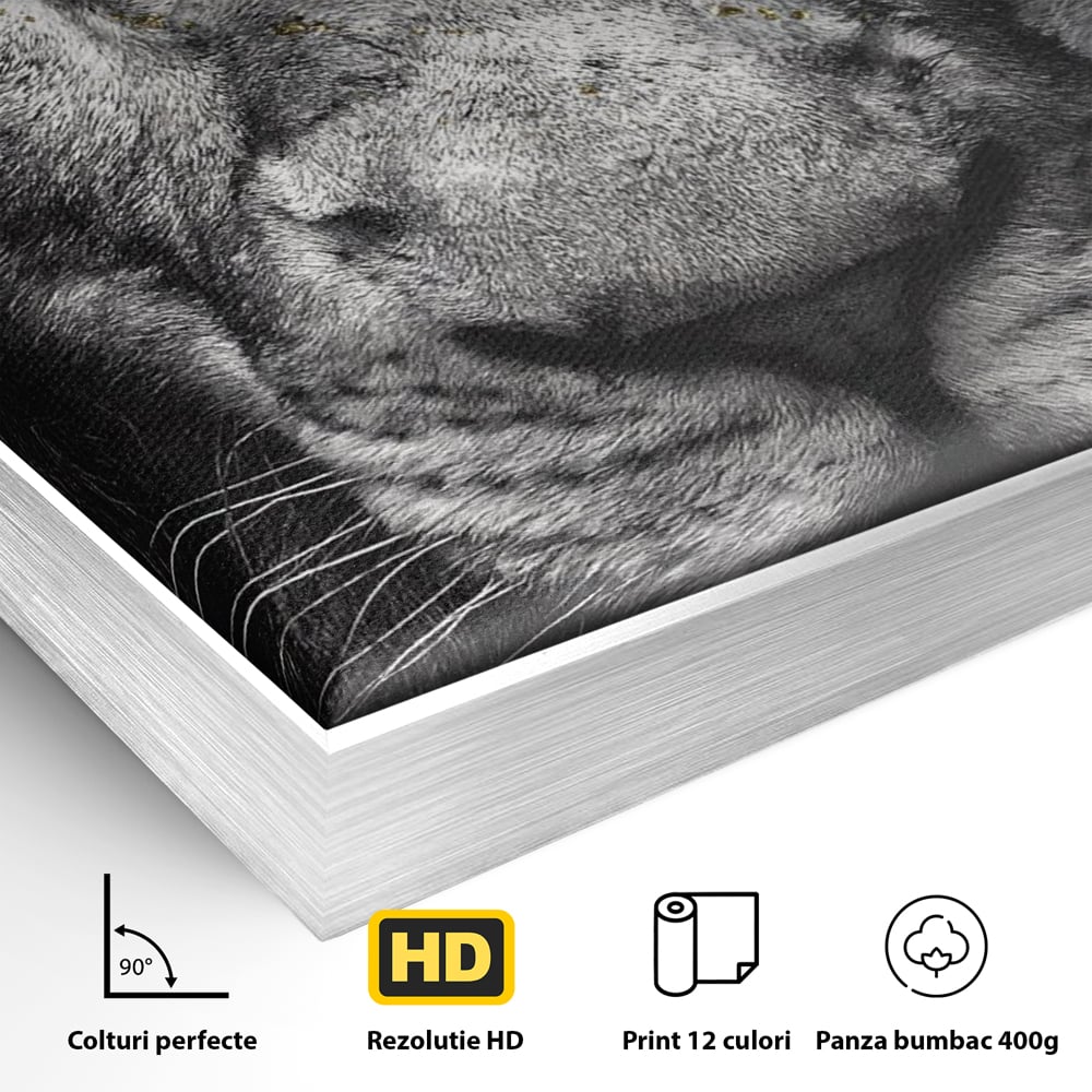 Detaliu al suprafetei: tablou canvas cu leu si ochi albastri, in rama de aluminiu argintiu