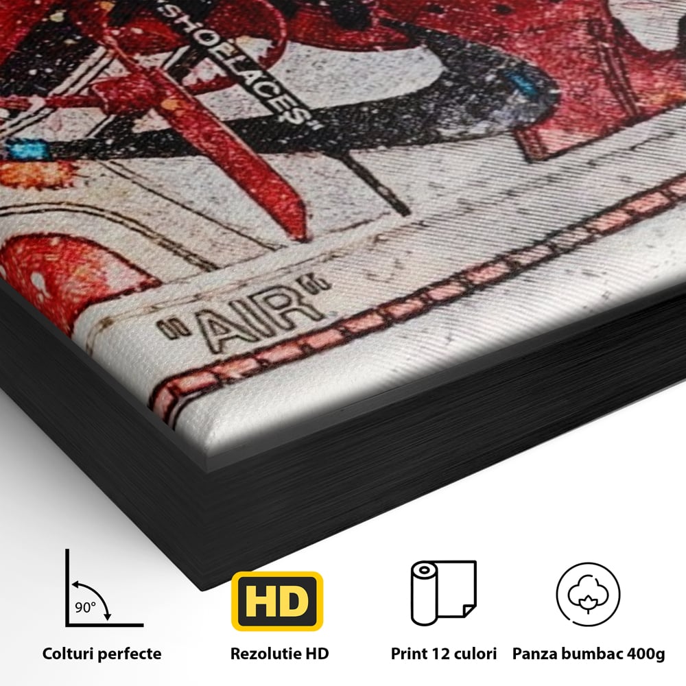Detaliu al suprafetei: tablou canvas cu pantof sport rosu, in rama de aluminiu negru